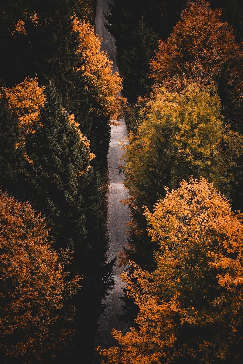 Mindfulness and Meditation